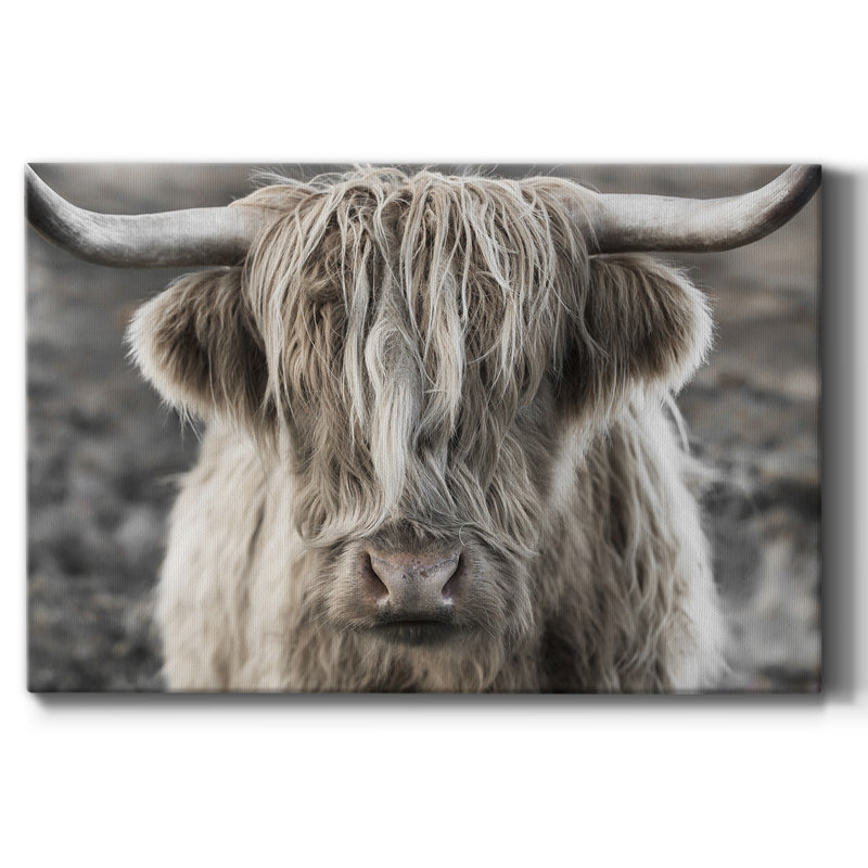 Highland Skye Premium Gallery Wrapped Canvas - Ready to Hang, 40" H x 60" W