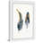 " Fluffy Feathers " by Parvez Taj Painting Print-2102611291