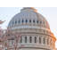 Blossoms By The Dome Print by Steven Heap-65807504-65807503