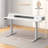63" x 24" Electric Standing Desk with 2 Drawers Monitor Stand Storage Shelf-1833782989