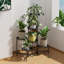 Plant Stand-231482658