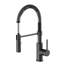 Robinet pour évier de cuisine, robinets de cuisine à un trou avec pulvérisateur et fonction double pour bar, hôtel, téléviseur (sans tirette)-100462980