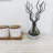 Plant / Floral Reed Diffusers And Sticks