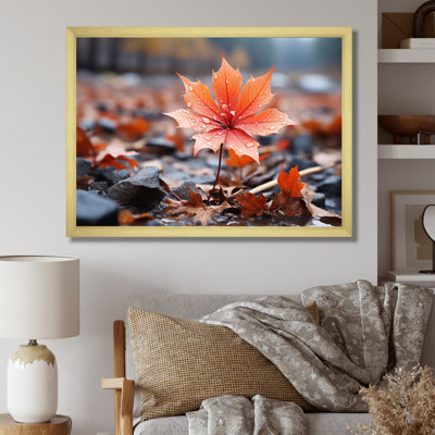 " Coral Flower Autumn Radiance I "