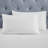 Fieldstone Cotton Two-Line Embroidered Deep Pocket Bed Sheet Set-101056807-110842880