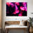 Bright Pink Jellyfish-107924424