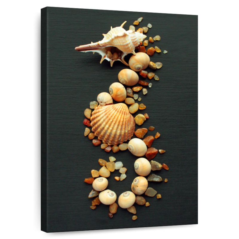 Seashell seahorse Aletra, H 12 po x l 8 po