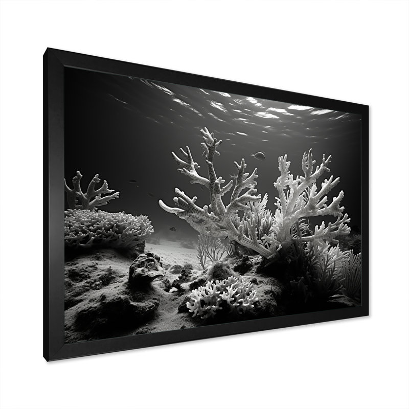 «Black and White Coral Anemone Kingdom V», reproduction d'art sur toile plage et océan, H 30 po x l 40 po x P 1,5 po