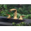 San Elijo Widespread 2-Handle Bathroom Faucet with Drain Assembly