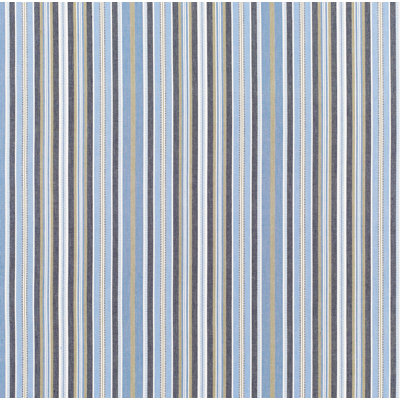 Avignon Stripe Fabric