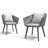 Stainless Steel and Wicker Ergonomic Terrace Dining Chairs with Cushions (Set of 2)-1302663806-1302619356