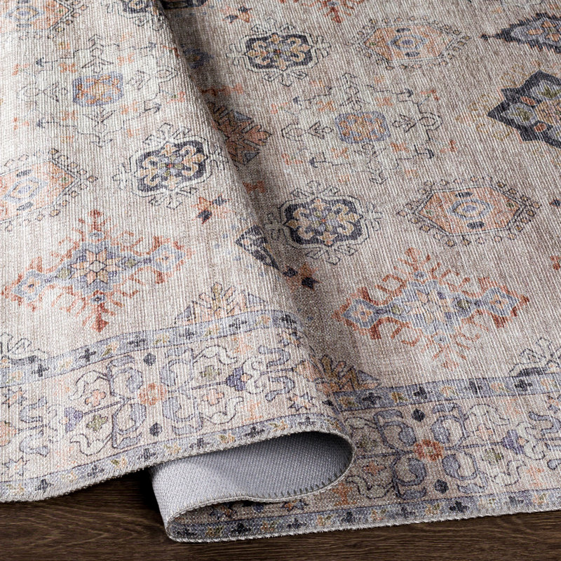 Chavarria Washable Oriental Indoor Rug, Rectangle 5'3" x 7'