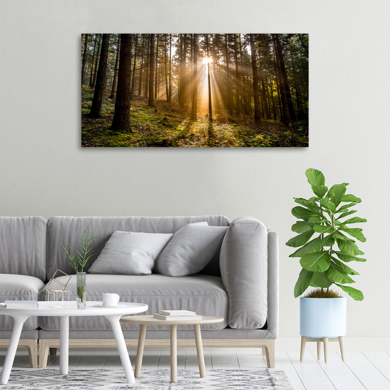Sunlight - Wrapped Canvas Print