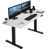 Whiteboard/Black is unavailable