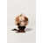 Brun terre et beige sable