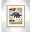 Décalcomanie murale Dinosaures-02 '-47836497-47836489