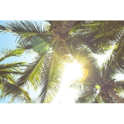 Palm Tree Leaves by Pawel.gaul - Print
