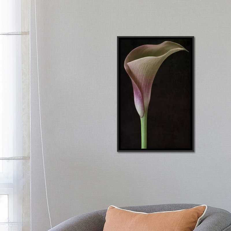 Calla Lily II, reproduction sur toile, H 60 po x l 40po x P 1,5 po, Toile avec cadre noir, Pas de tapis