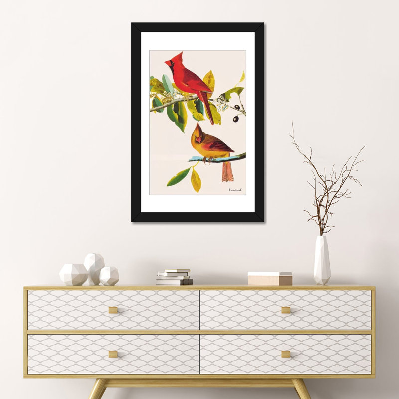 " Cardinal " by John James Audubon, 24" H x 16" W x 1" D, Black Framed Fine Art Paper, White