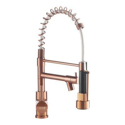 Belfry Kitchen Krokowski Pull Out Kitchen Faucet
