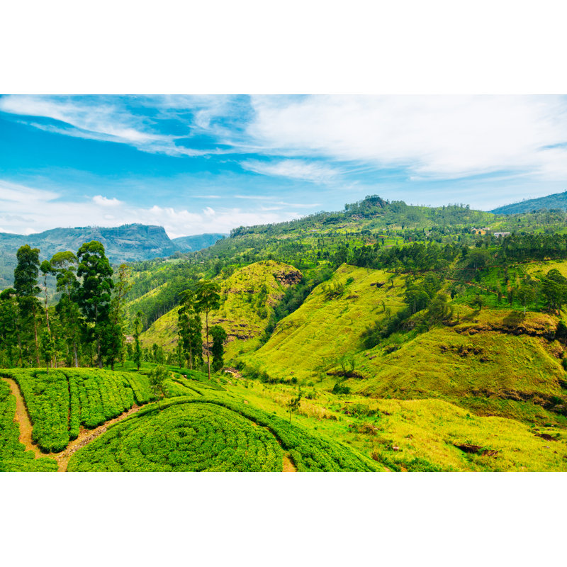 Waterfall Valley Near Nuwara Eliya by Danilovi - Wrapped Canvas Print, 51cm H x 76cm W x 3.8cm D