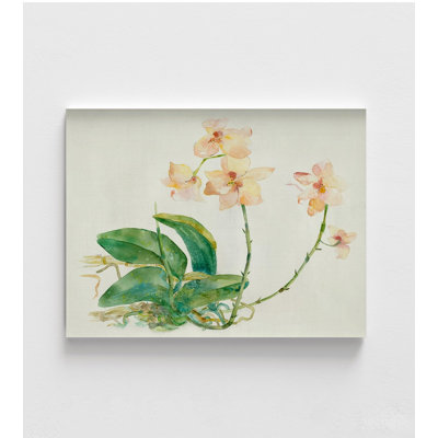 Pink Orchid By Maya Woods, Orchid Lover Gift Idea, Sweet Mother In Law Gift, Grandma Birthday Present Idea, Lovely Aunt Gift Poster