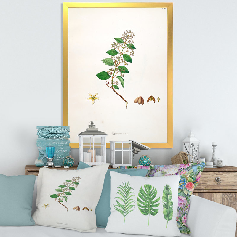 Vintage Botanicals I - peinture sur toile, H 32 po x l 16 po x P 1 po, Cadre doré