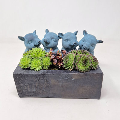 Shirely Statue Planter