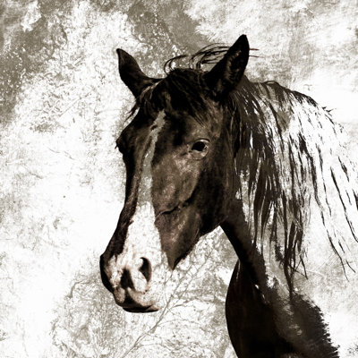 Hap Hap Horse - Wrapped Canvas Painting