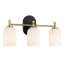 Applique murale à deux lumières Vortex de style traditionnel pour miroir de salle de bain l 12,25 po x H 10,12 po x E 5,5 po avec verre givré blanc-771593050-771593048