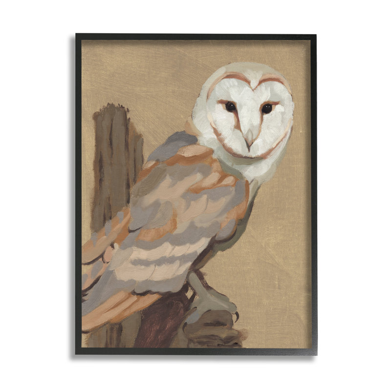 «Barn Owl Bird perché Gazing Wildlife Animal» par Jacob Green - peinture à cadre flottant sur toile