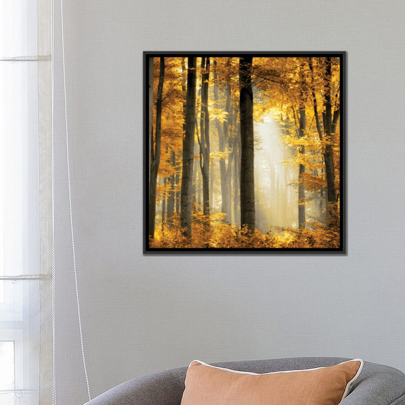 «Sunlit Forest II», impression sur toile, H 26 po x l 26 po x P 1,5 po, Toile tendue, Pas de tapis