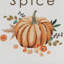 Arrêt de porte en tissu avec poignée en corde Let It Be Pumpkin Spice