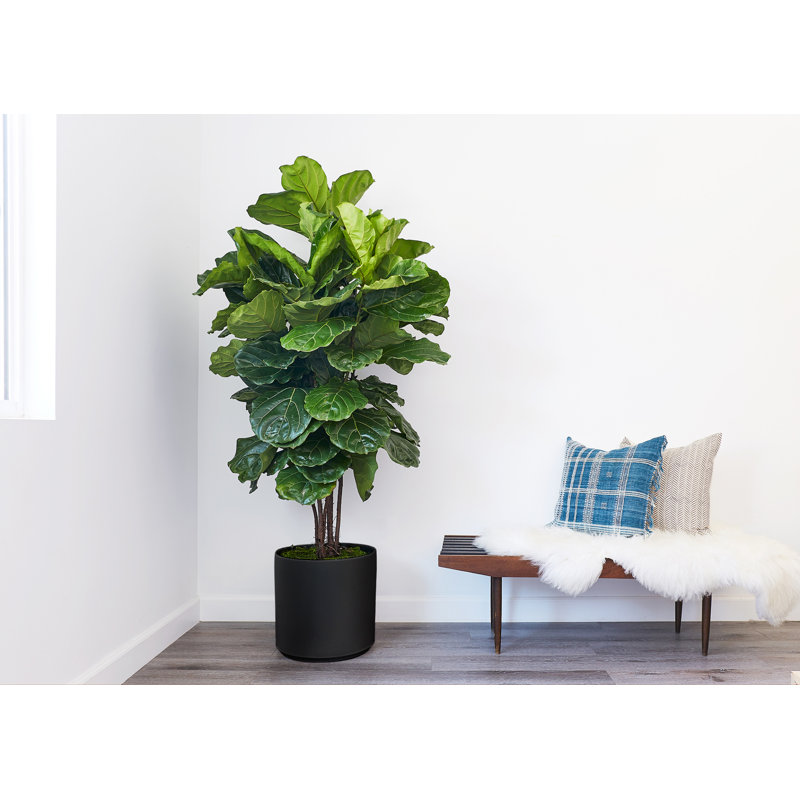 Stoneware Pot Planter, Black, 15.25" H x 15" W x 15" D