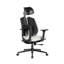 Chaise de bureau Danh-89507707