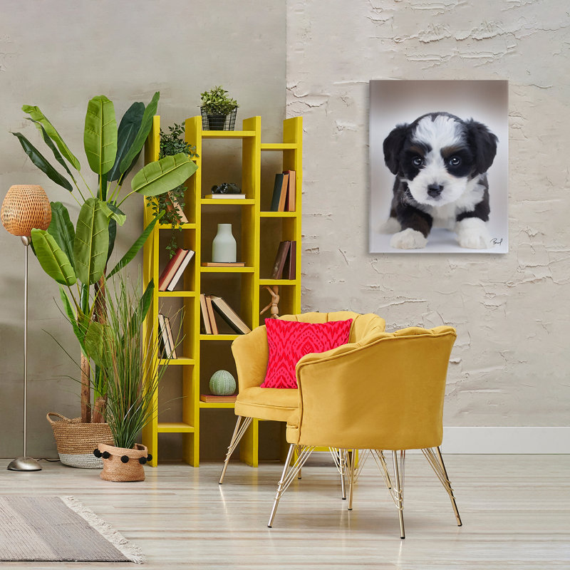 "Fluffy Bernedoodle Puppy", art par Renel Peters, H 30 po x l 24 po