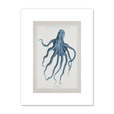Atlantic Marine Museum Octopus I - impression