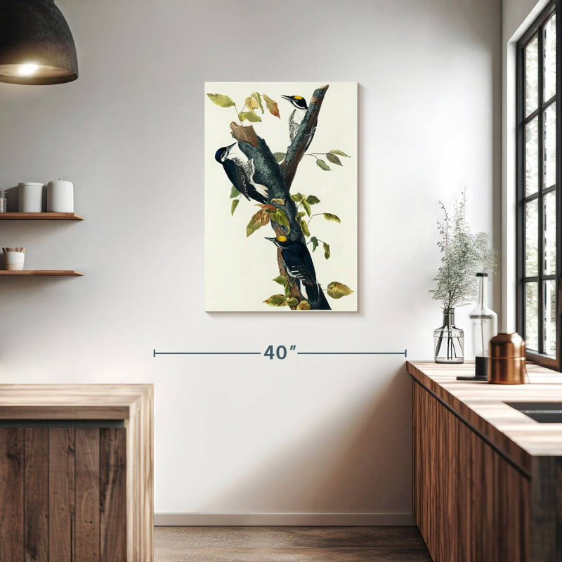 Keiri Three-Toed Woodpecker, 36" H x 24" W