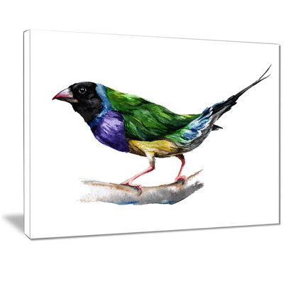 " Gould Finch "