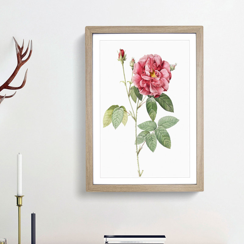 French Rose by Pierre-Joseph Redoute - Framed Print, Oak Framed, 48cm H x 36cm W x 2cm D