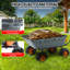Cart