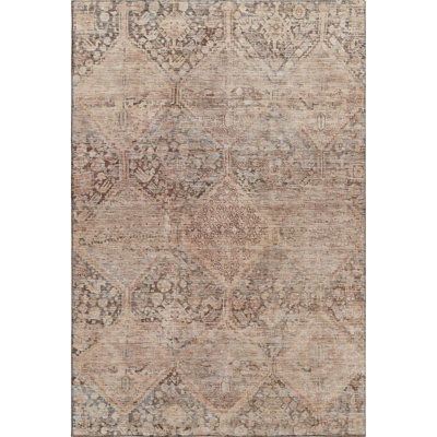 Premium Machine Washable Bucz AMF1745 Geometric Rug