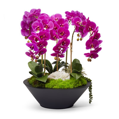 Faux Silk Orchids Arrangement in Planter