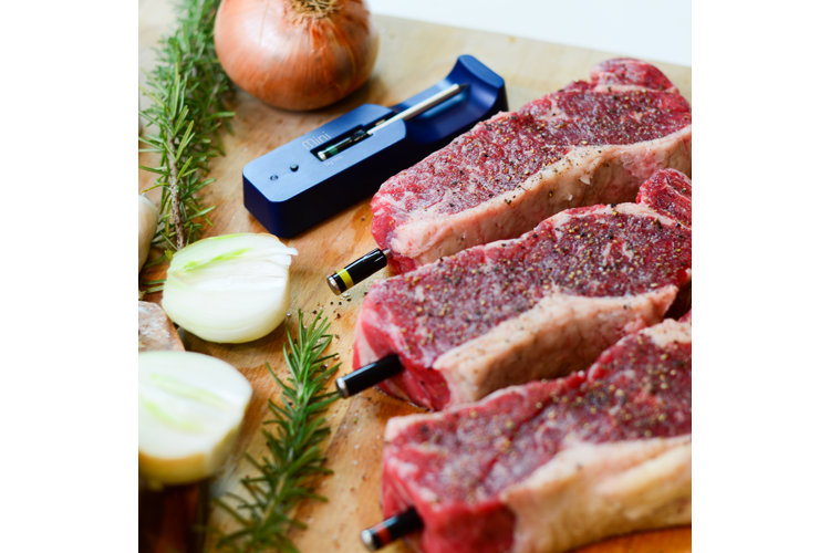 Mini Steak Thermometer