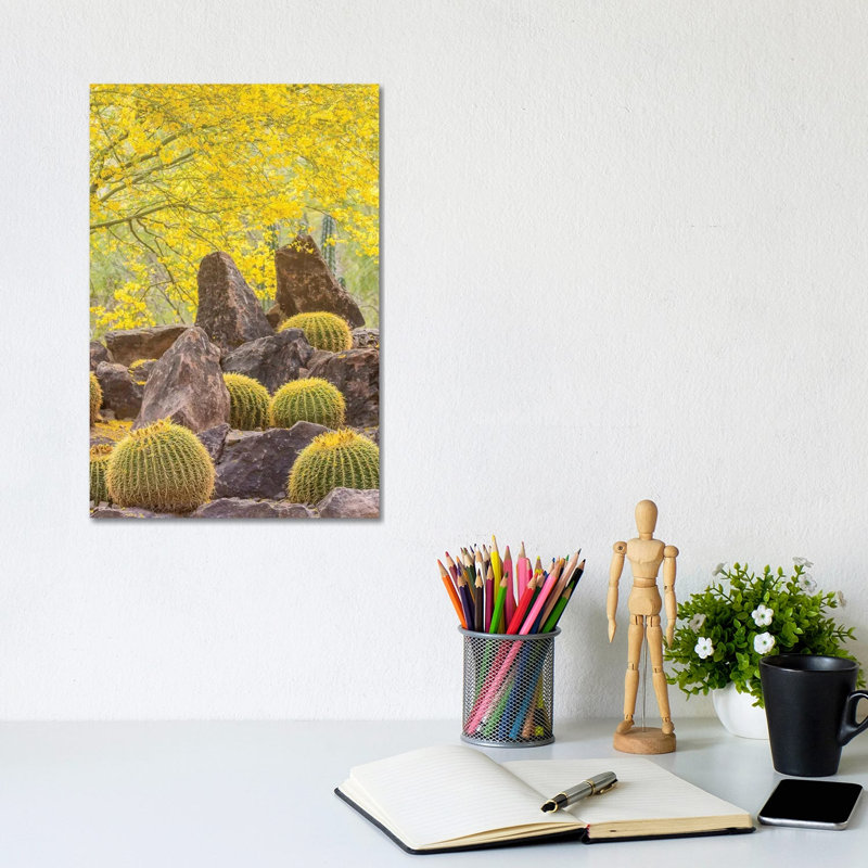 USA, Arizona, Desert Botanic Garden. Cactus Garden And Rocks. by Jaynes Gallery - Wrapped Canvas Gallery-Wrapped Canvas Giclée