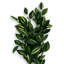 45cm Faux Plant-127681160
