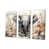 Toile tendue