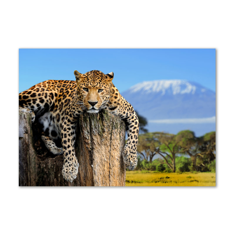 Leopard On The Trunk - No Frame Print on Canvas