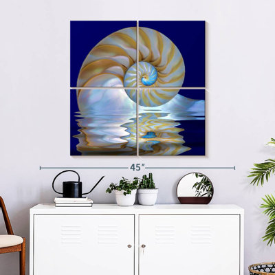 Aletra Nautilus Shell On Water