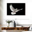 Brampt volant colombe blanche-107677191